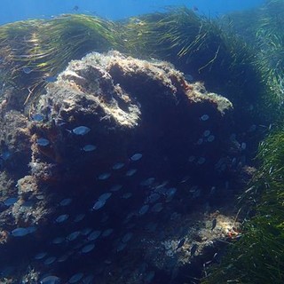 Sottocosta …a cura di Ghjuvan Pasquale