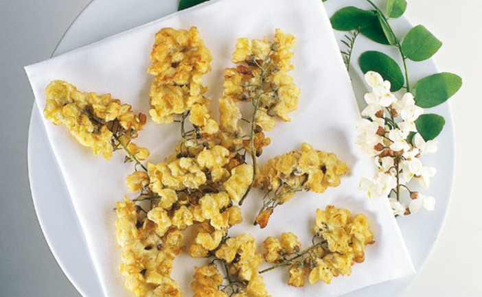 Le frittelle di fiori d’acacia Le frittelle di fiori d’acacia