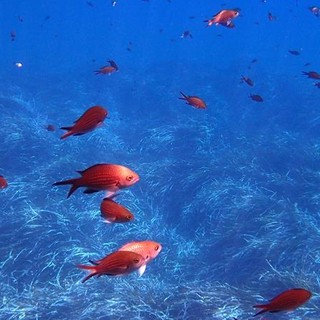 Sottocosta …a cura di Ghjuvan Pasquale