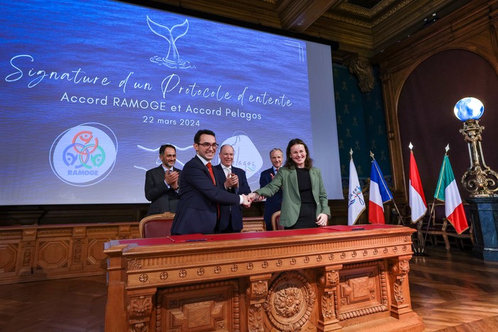 Monaco, siglato un protocollo d'intesa tra Accord Ramoge e Pelagos