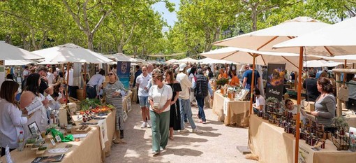 Tra profumi di mare e sapori di terra: a Saint-Tropez il weekend in cui la cucina racconta le sue radici