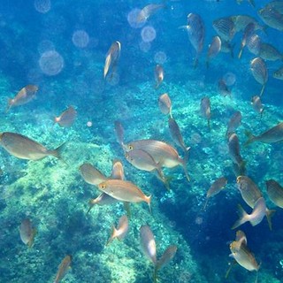 Sottocosta …a cura di Ghjuvan Pasquale