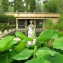 I giardini di Serre de la Madone a Mentone compiono 100 anni: un'estate di celebrazioni