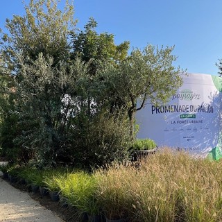 Nizza, ecco come sarà la futura Promenade di Paillon