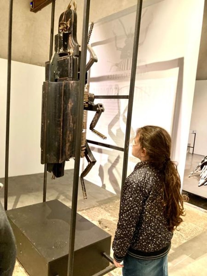 "La symphonie des insectes géants", fotografie di Silvia Assin