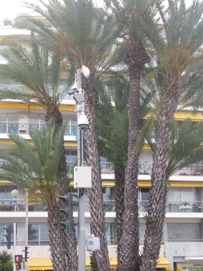 "Sotto controllo" di Angelo De Lauro "Sotto controllo" di Angelo De Lauro