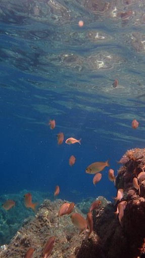 Sottocosta …a cura di Ghjuvan Pasquale Sottocosta …a cura di Ghjuvan Pasquale