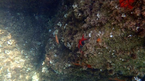 Sottocosta …a cura di Ghjuvan Pasquale Sottocosta …a cura di Ghjuvan Pasquale