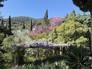 © La Serre de la Madone, Mentone.