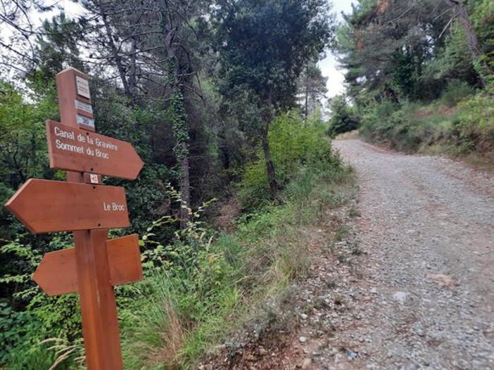 Il sentiero che conduce al Sommet du Broc, fotografie di Danilo Radaelli