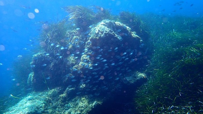 Sottocosta …a cura di Ghjuvan Pasquale