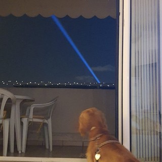 "In guardia", fotografia di Patrizia Savarese