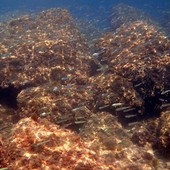 Sottocosta …a cura di Ghjuvan Pasquale Sottocosta …a cura di Ghjuvan Pasquale