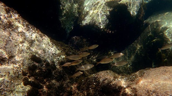 Sottocosta …a cura di Ghjuvan Pasquale Sottocosta …a cura di Ghjuvan Pasquale