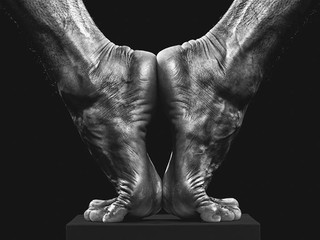 Symétrie,2015 © Dominique Jaussein