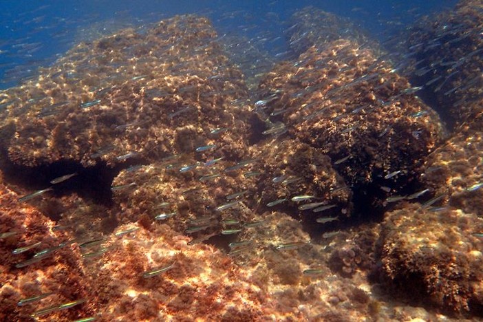 Sottocosta …a cura di Ghjuvan Pasquale Sottocosta …a cura di Ghjuvan Pasquale