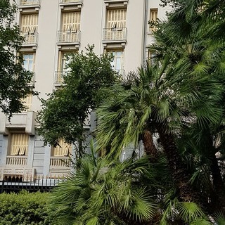 "Arte nel verde" di Patrizia Savarese