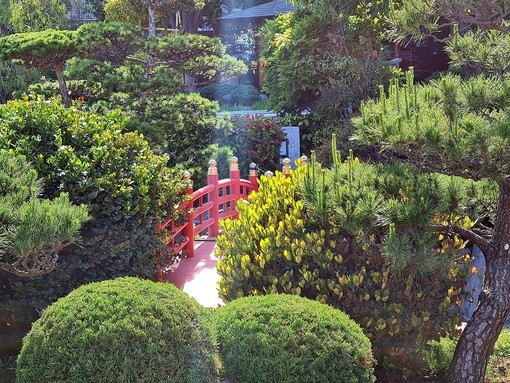 "Spiraglio di luce" di Laura Albanese