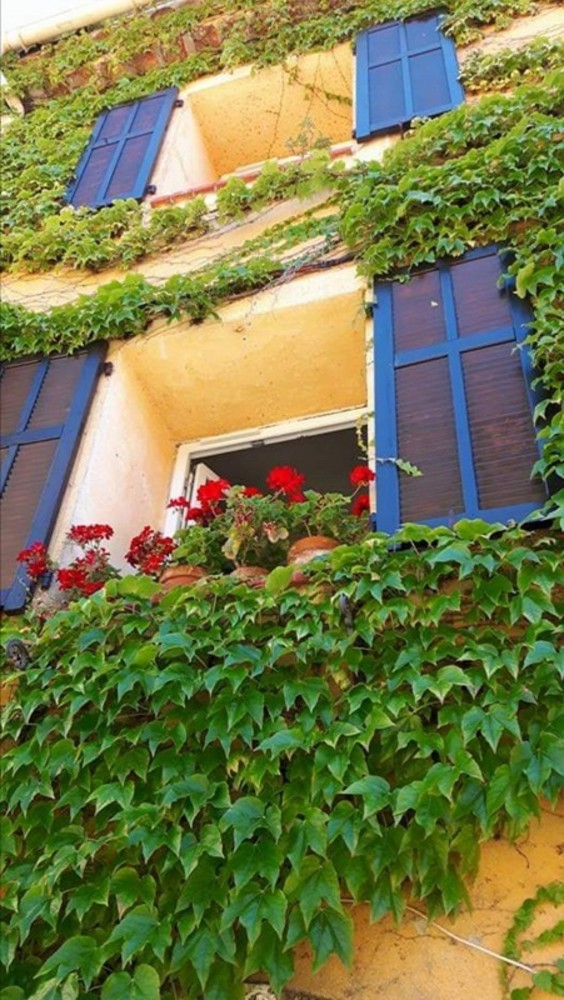 "Natura alla riscossa", fotografia di Luisella Cappio "Natura alla riscossa", fotografia di Luisella Cappio