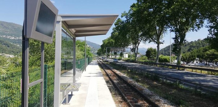 Nice Lingostière Nice Lingostière