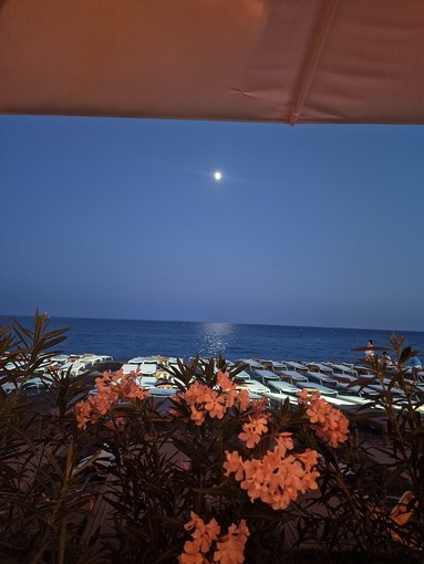 Nizza, la notte sulla Promenade des Anglais, fotografia di Patrizia Savarese Nizza, la notte sulla Promenade des Anglais, fotografia di Patrizia Savarese