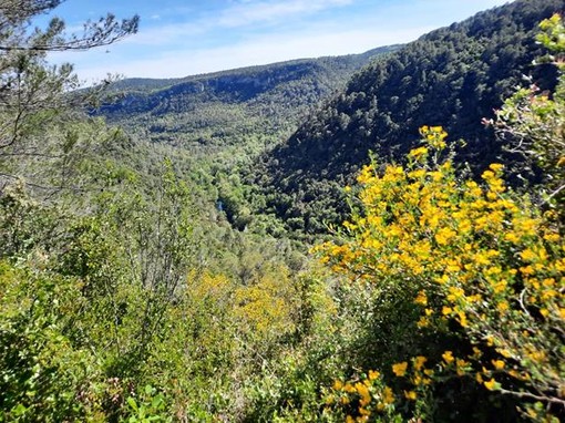 Saint Cezaire sur Siagne (fotografie di Danilo Radaelli)