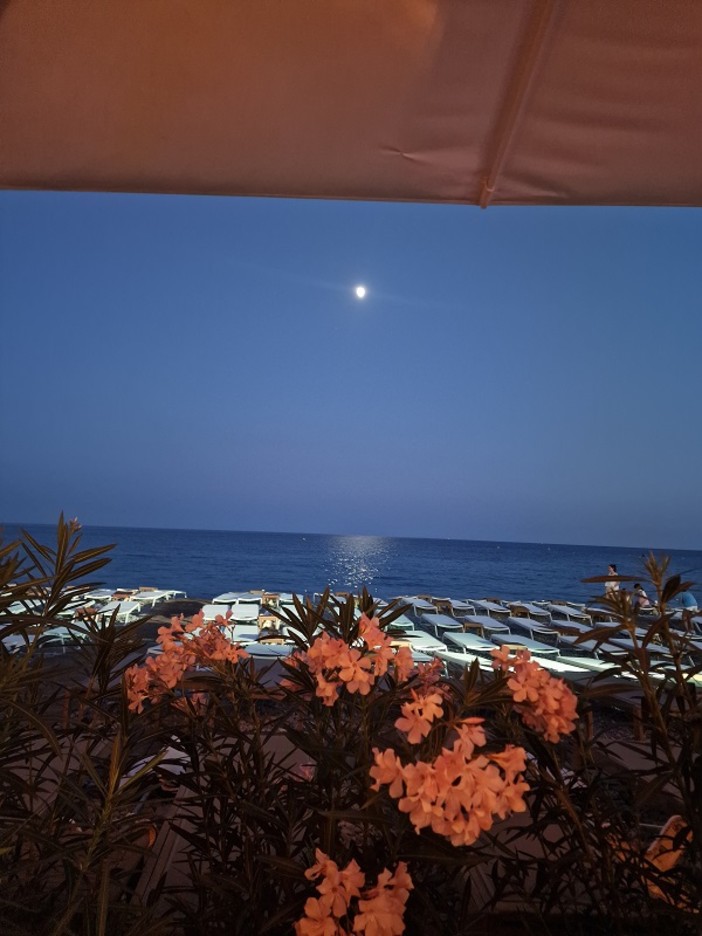 Nizza, la notte sulla Promenade des Anglais, fotografia di Patrizia Savarese Nizza, la notte sulla Promenade des Anglais, fotografia di Patrizia Savarese