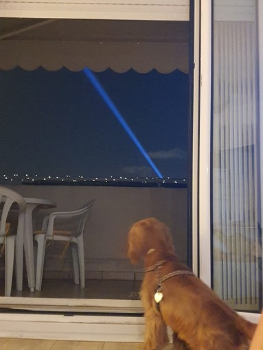 "In guardia", fotografia di Patrizia Savarese