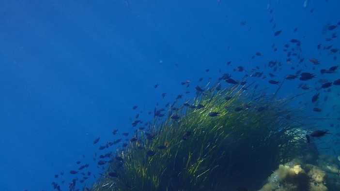 Sottocosta …a cura di Ghjuvan Pasquale Sottocosta …a cura di Ghjuvan Pasquale