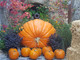 Saint-Paul-de-Vence si veste d’autunno: castagne, arte e misteri nel borgo in festa Saint-Paul-de-Vence si veste d’autunno: castagne, arte e misteri nel borgo in festa