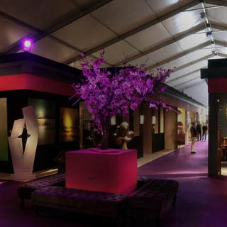 Si prepara il 50^ Salon d'Antiquités, Art Moderne et Art Contemporain di Antibes