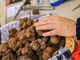 Il tartufo conquista la Costa Azzurra: a Saint-Jean-Cap-Ferrat torna il mercato del tesoro nero