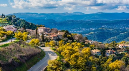Tanneron, fotografie di Patrizia Gallo e Danilo Radaelli