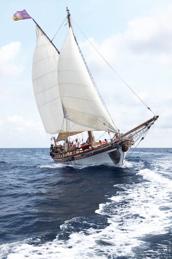 Telethon – Uscita in mare con SOS Grand Bleu - Saint Jean Cap Ferrat 30 novembre 2024 Telethon – Uscita in mare con SOS Grand Bleu - Saint Jean Cap Ferrat 30 novembre 2024