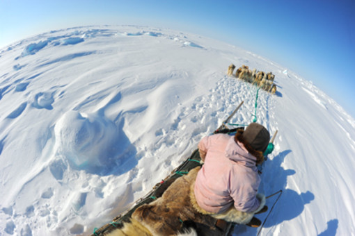 Traversata della Baia di Melville - Copyright N. A. Antognelli Traversata della Baia di Melville - Copyright N. A. Antognelli