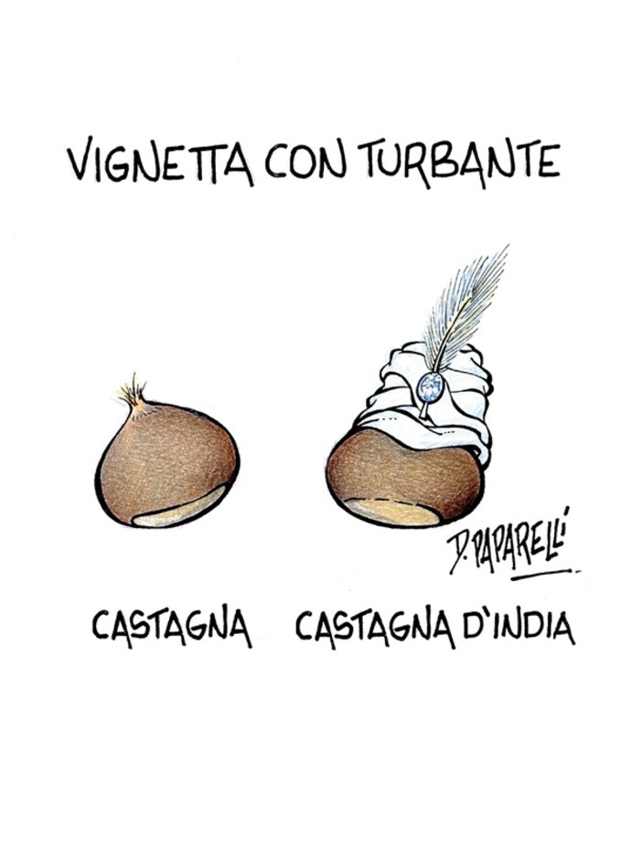 Quando una vignetta vale come mille editoriali Quando una vignetta vale come mille editoriali
