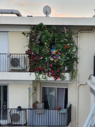 "Terrazzo fiorito..." fotografie di Patrizia Savarese