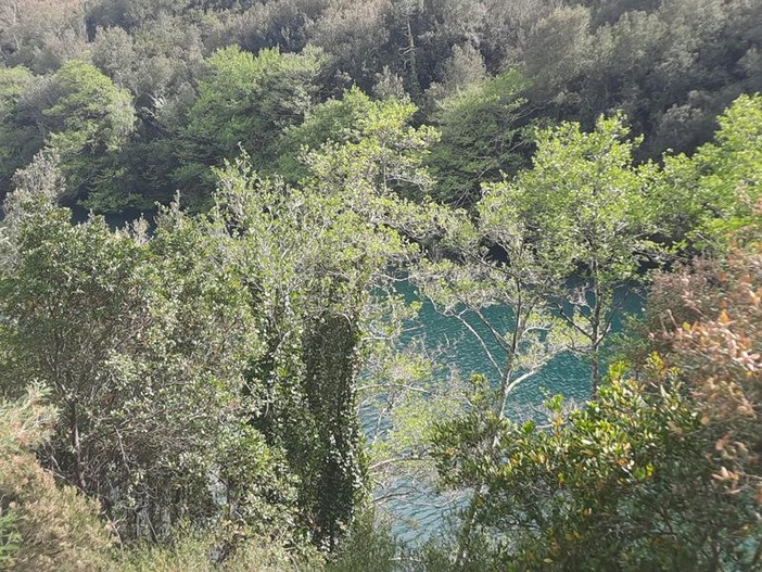 Il territorio del Tanneron - Foto di Danilo Radaelli Il territorio del Tanneron - Foto di Danilo Radaelli