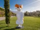Totor, la nuova mascotte della éPromenade des Anglais