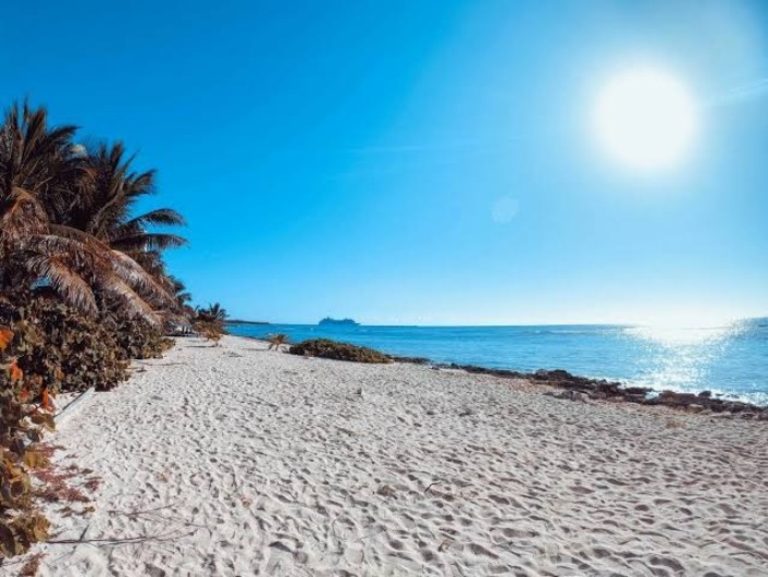 Giornate bollenti: l’estate del 2050 tra notti tropicali, incendi e mare che avanza Giornate bollenti: l’estate del 2050 tra notti tropicali, incendi e mare che avanza