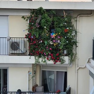 "Terrazzo fiorito..." fotografie di Patrizia Savarese