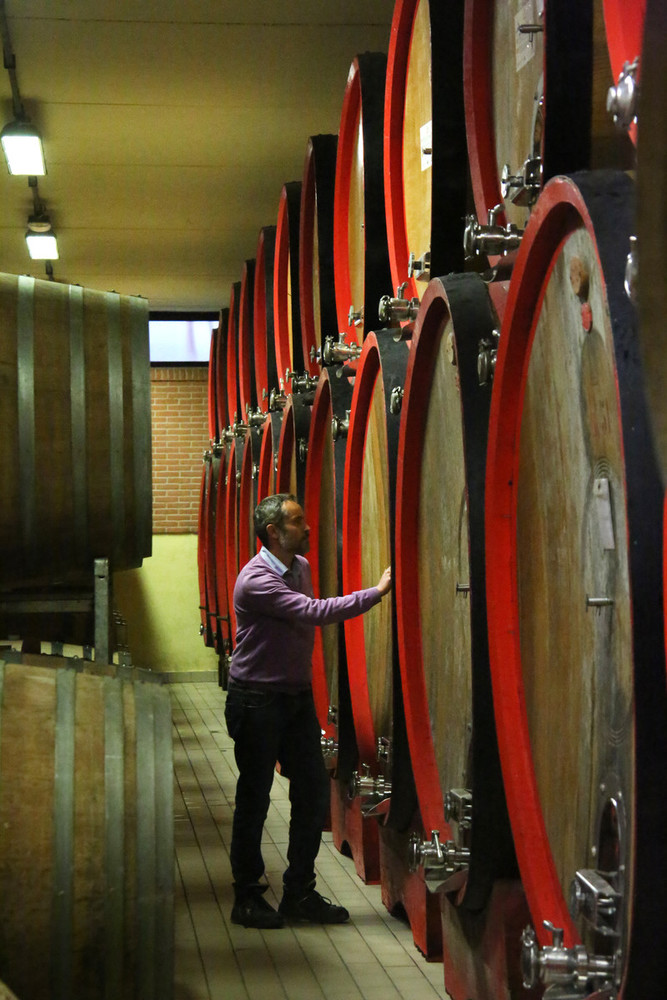 Cantina Terre del Barolo: in enoteca per fare esperienza del territorio Cantina Terre del Barolo: in enoteca per fare esperienza del territorio