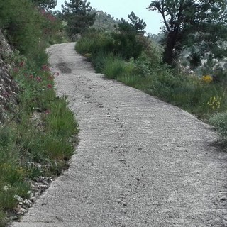 Il tour delle quattro “vette” che fanno da contorno a Nizza. Servizio fotografico di Danilo Radaelli