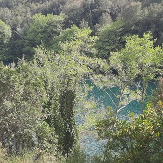 Il territorio del Tanneron - Foto di Danilo Radaelli