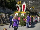 Gita fuori porta e fuori dal tempo a Tourrettes-sur-Loup per la Festa delle Violette