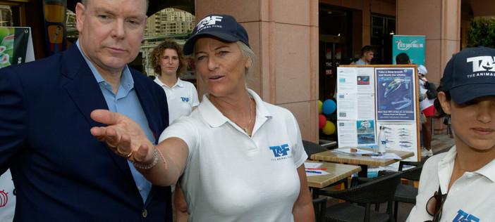 TAF – The Animal Fund è un’organizzazione no-profit dedicata alla conservazione marina, con registrazione in cinque Paesi e un ambito operativo a livello globale. L’obiettivo principale è la tutela degli oceani e della loro diversità di vita marina, con particolare attenzione alle balene, che rivestono un ruolo fondamentale negli ecosistemi.