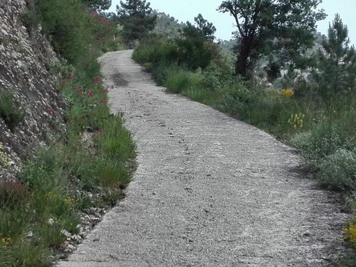 Il tour delle quattro “vette” che fanno da contorno a Nizza. Servizio fotografico di Danilo Radaelli