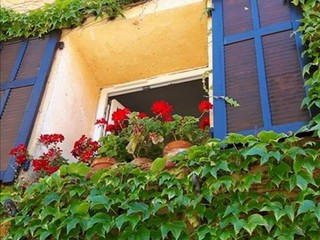 Luisella Cappio: Natura alla riscossa Luisella Cappio: Natura alla riscossa