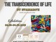 A St-Jean Cap-Ferrat la personale dell'artista Evamarch's