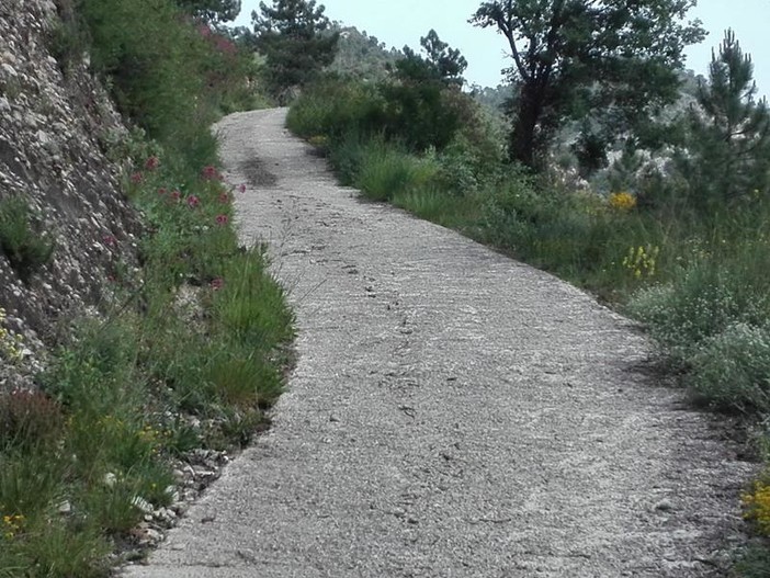 Il tour delle quattro “vette” che fanno da contorno a Nizza. Servizio fotografico di Danilo Radaelli